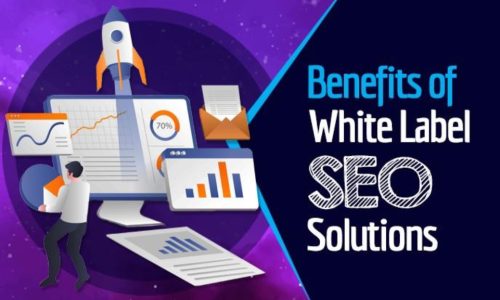 White Label SEO Services that drive proven digital results